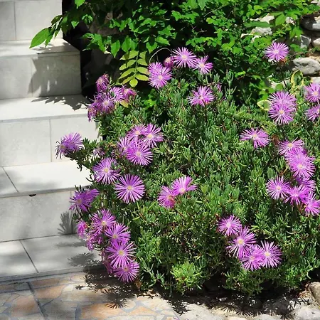 In Starigrad-paklenica 6790 Holiday home *