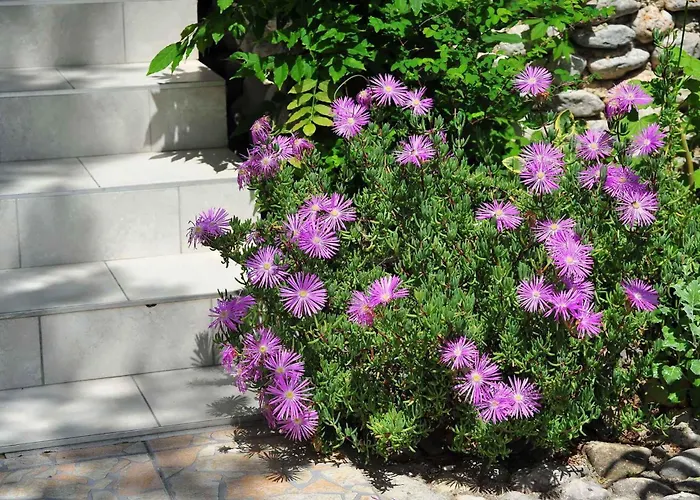 In Starigrad-paklenica 6790 Holiday home